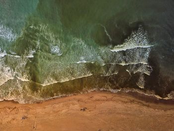 Scenic view of sea shore