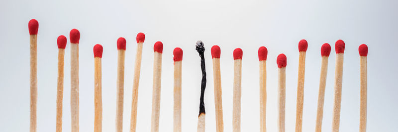 Close-up of colored pencils against white background