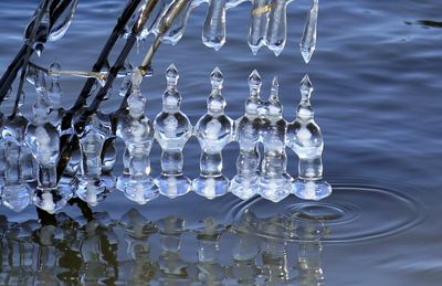 Reflection of trees in water