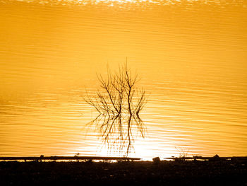 Scenic view of silhouette landscape against orange sky