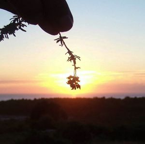 Scenic view of sky at sunset