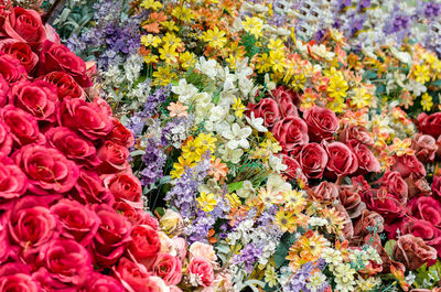 Close-up of multi colored roses