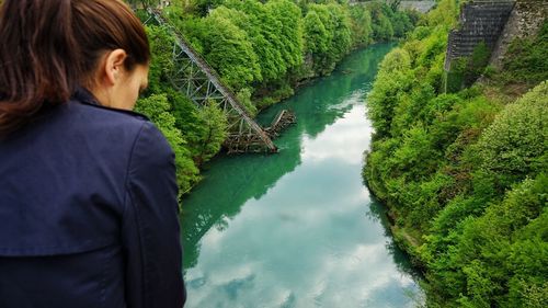 Rear view of woman looking at river in forest