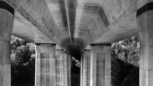 Bridge at night