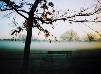 Empty bench in park