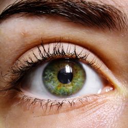 Extreme close-up of human eye