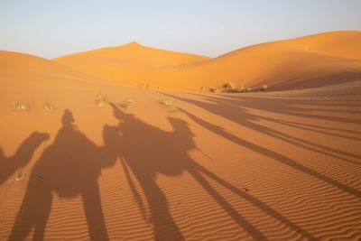 Shadow of people riding camels on sand at desert