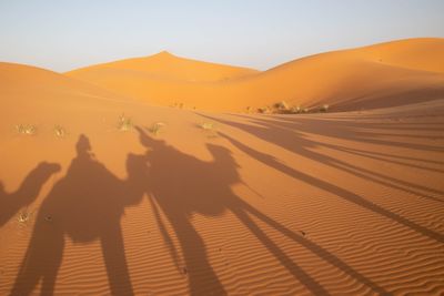 Shadow of people on sand dune