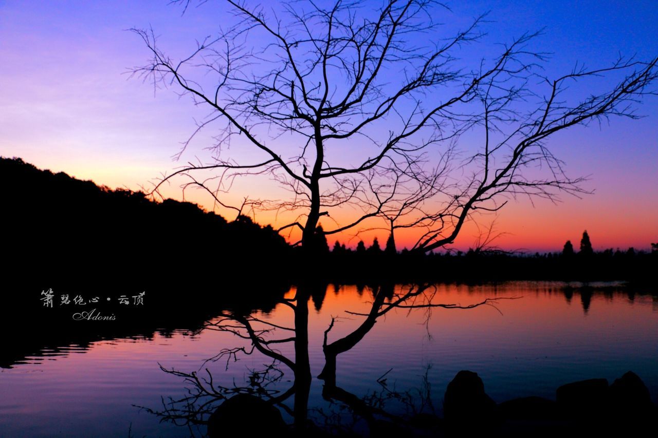 silhouette, water, sunset, tranquility, tranquil scene, scenics, bare tree, tree, lake, beauty in nature, reflection, branch, nature, sky, idyllic, blue, dusk, lakeshore, calm, tree trunk