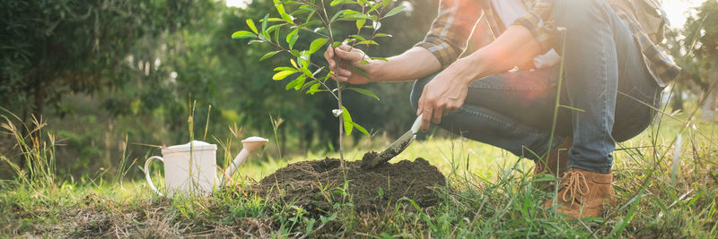 Woman holding plants on field