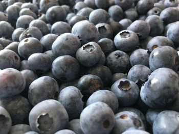 Full frame shot of blueberries in market