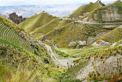 Aerial view of landscape