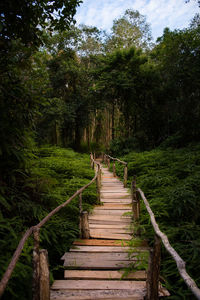 Footbridge amidst trees in forest