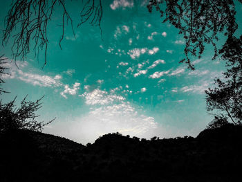 Low angle view of silhouette trees against blue sky