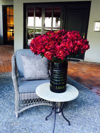Close-up of flowers in pot