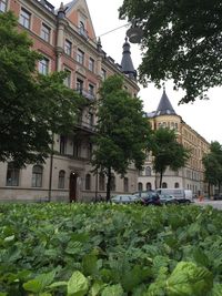 Building with trees in background