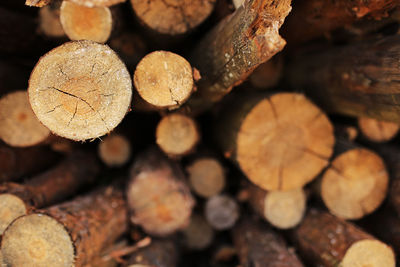 Close-up of logs