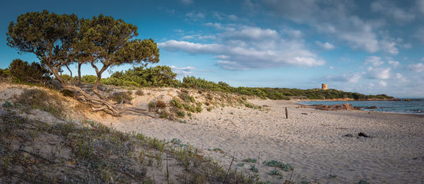 Scenic view of beach against sky