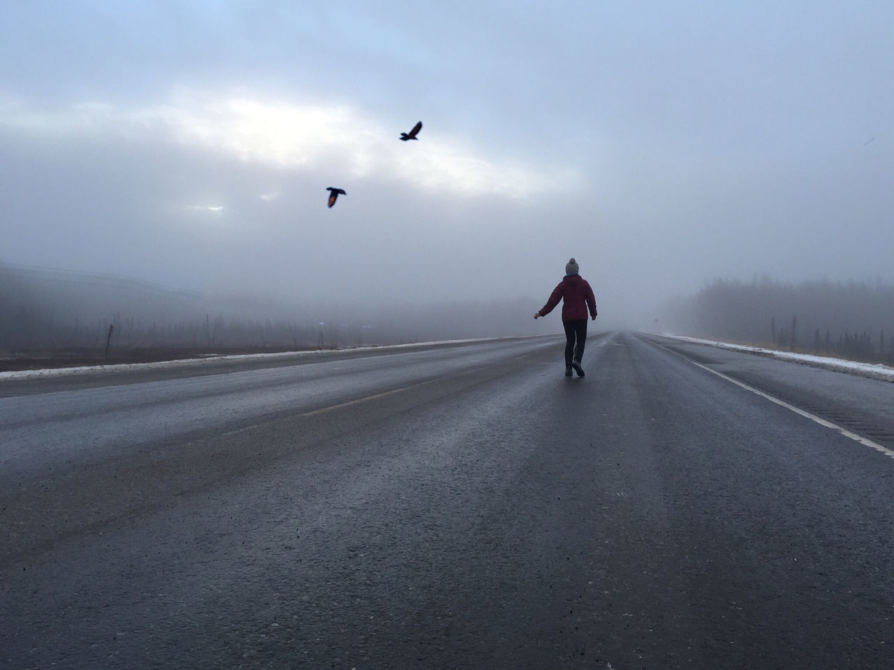 full length, transportation, the way forward, rear view, walking, road, sky, men, diminishing perspective, lifestyles, on the move, leisure activity, vanishing point, road marking, mid-air, flying, riding, copy space