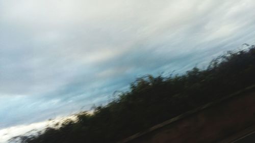 Low angle view of trees against sky