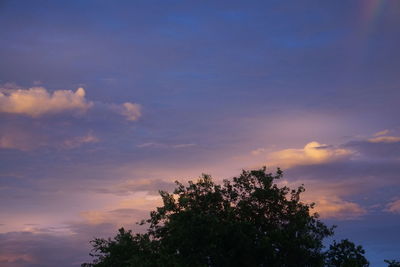 Low angle view of trees against cloudy sky