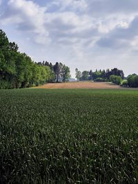 Scenic view of field against sky