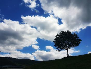 Low angle view of tree against sky