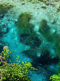 High angle view of swimming pool