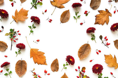 High angle view of various flowers on table