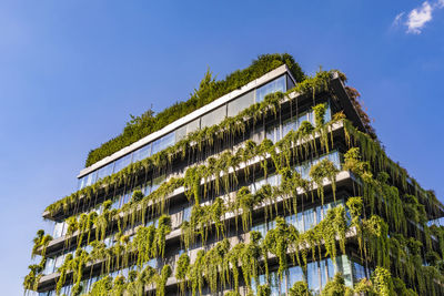 Germany, baden-wurttemberg, stuttgart, office building covered in green creeping plants