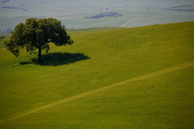 Scenic view of landscape