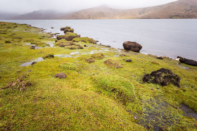 Scenic view of lake and mountains against sky