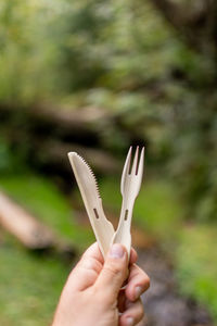 Close-up of hand holding plant