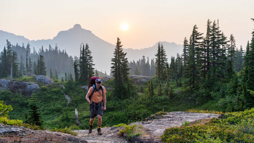 Early morning hiker at the alpine track on a local vacation trip