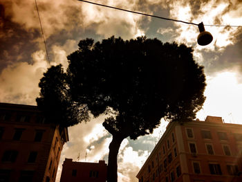 Low angle view of trees against sky in city