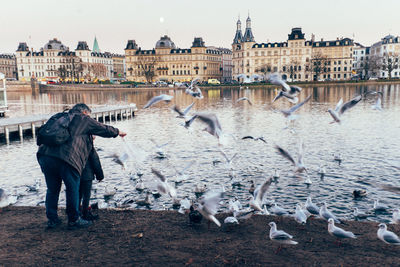 Full length of man flying birds in city against clear sky