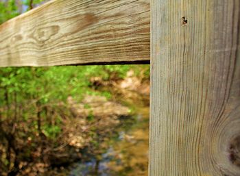 Close-up of wooden plank