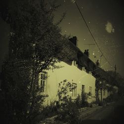 Trees and buildings against sky at night