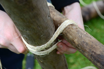 Cropped hands touching bamboo