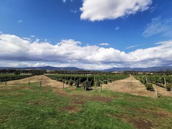 Scenic view of land against sky