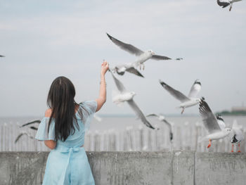 Low angle view of seagulls flying against sky