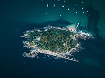 Aerial view of island