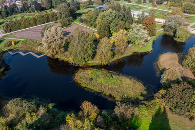 High angle view of river amidst trees