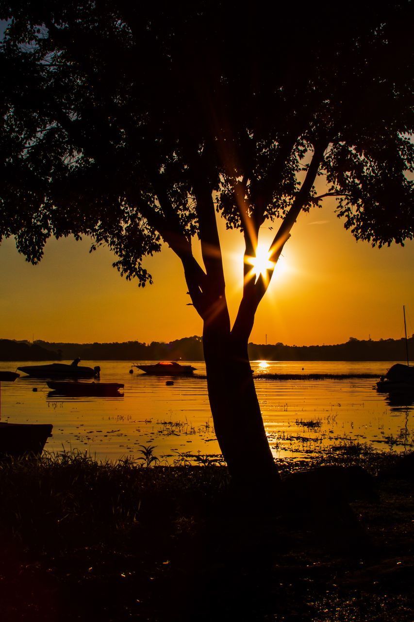 SILHOUETTE PERSON BY TREE AT SUNSET