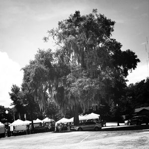 Cars parked on street