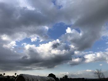 Low angle view of trees against sky