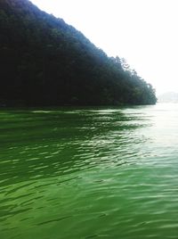 Reflection of trees in water