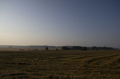 Scenic view of agricultural field against clear sky