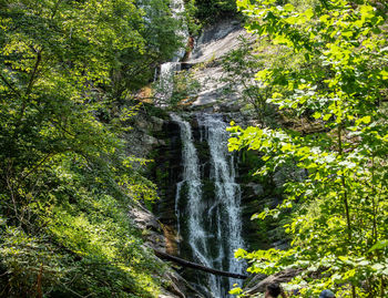 Scenic view of waterfall in forest