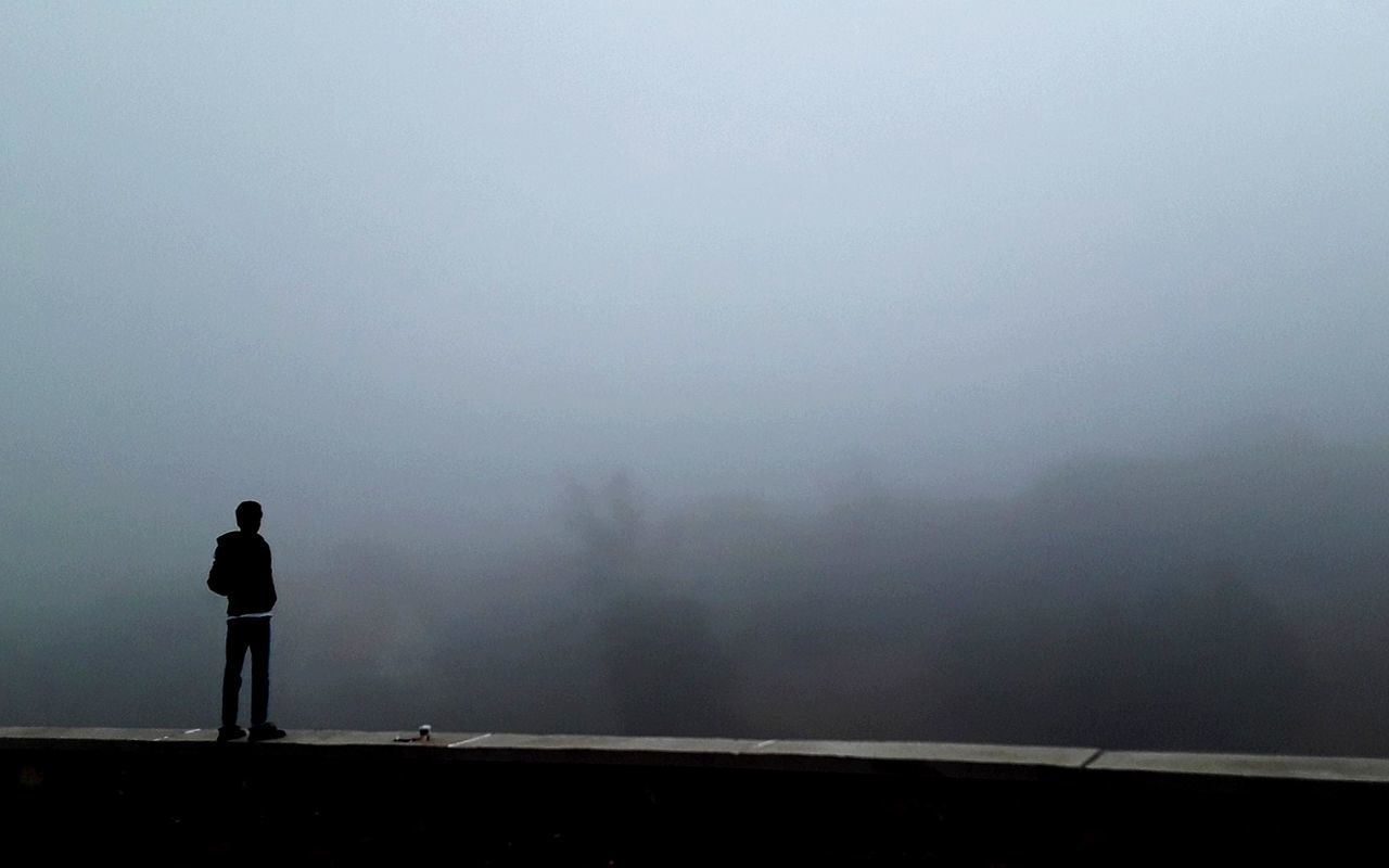 fog, foggy, one person, real people, silhouette, nature, standing, mist, hazy, outdoors, landscape, beauty in nature, full length, men, scenics, day, tree, sky, people